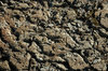Rock Texture 2