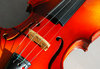 Violin 5