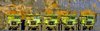 Mining Trucks Panaorama 2