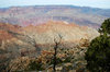 Grand Canyon 5