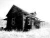 Old Black and White Homesteads