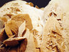 Selenite - Desert Rose