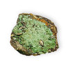 Malachite with Limonite 2