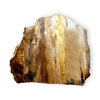 Petrified Wood