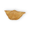 Brachipod