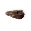 Oil Shale
