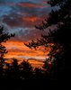 Orange Morning 2