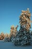 Dead of Winter -40 1