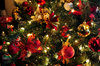 Christmas Tree 4