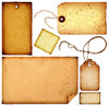 Paper Scraps