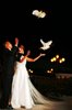 weddings