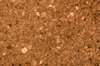corkboard