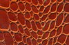 Alligator Skin Texture