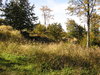 Mountain clearing