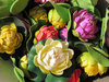 colourful plastic water lilys