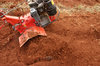 dig 2