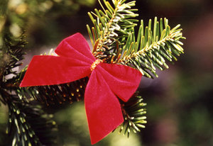 Winter decoration