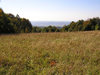 Mountain pasture