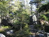 Kudowa rocks