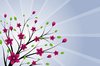 Spring Branch 2