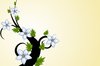 Small Tree