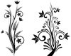 Isolated B&W Floral Set 4