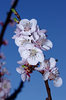 spring ...