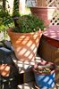 Clay Pots
