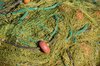 Fishing nets 5
