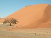 namib desert 4