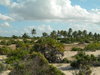 mozambique 1
