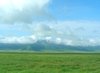 green tanzania