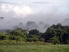 foggy morning