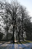 Park shadows