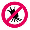 No bonfire