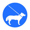 Leash