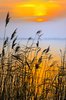 Late afternoon
