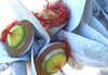 great seedpod colour