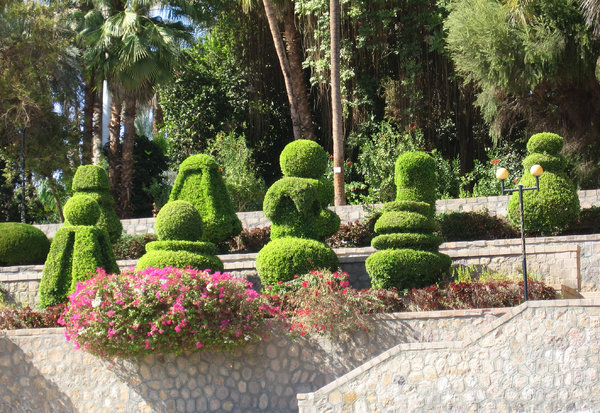 Kitchener Gardens: Kitchener Gardens at Aswan,Egypt