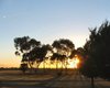 morning has broken