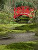 Japanese garden