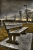Bench