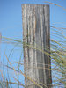 sand dunes 5