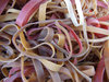 rubber bands 1