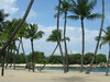 tropical paradise?