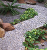 pebble path