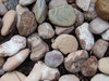 rocky collection 2