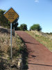 cycle track