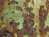 the colours of rust