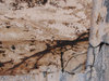 the colours of rust